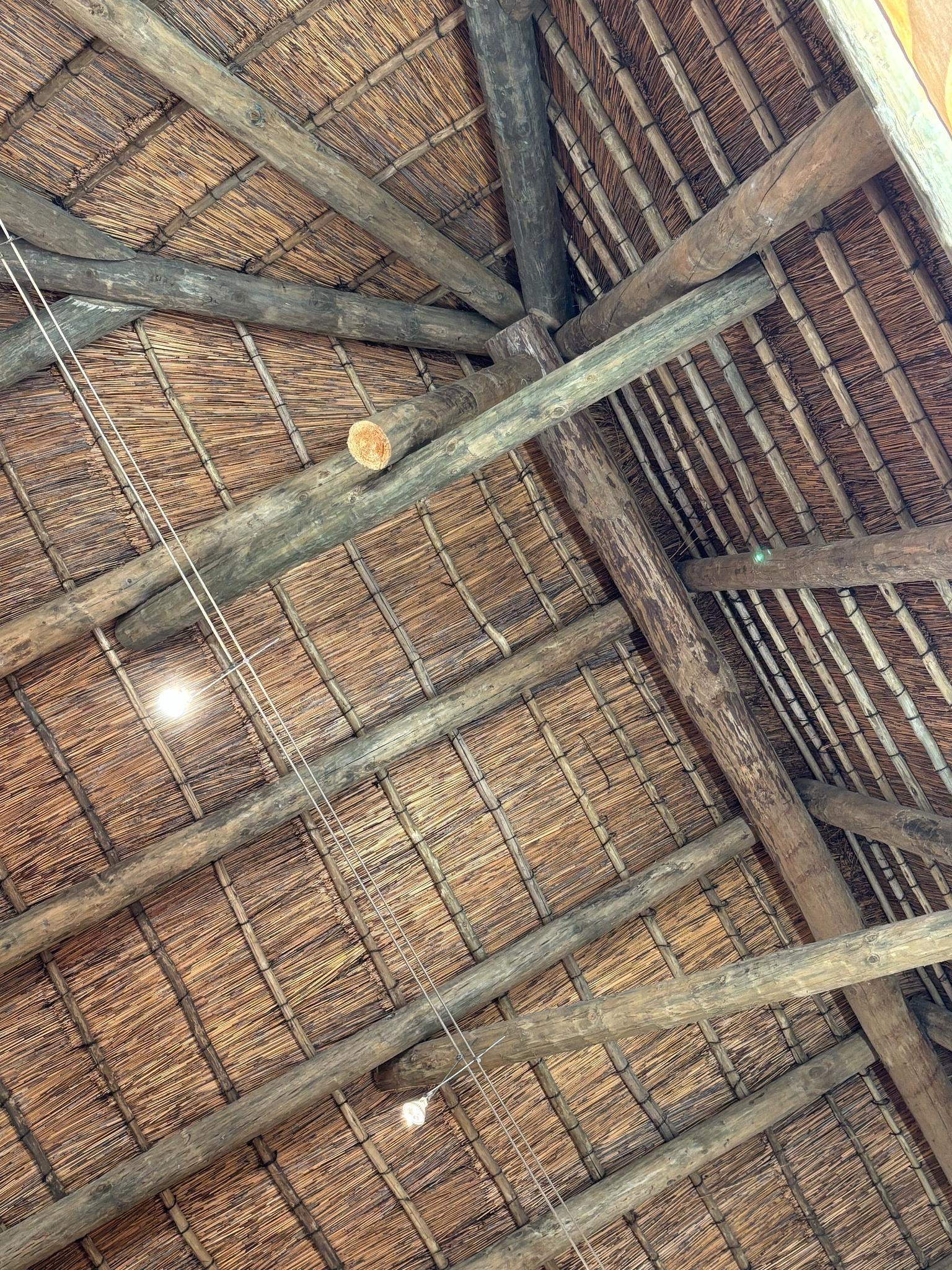 20250304-ThatchedStructure