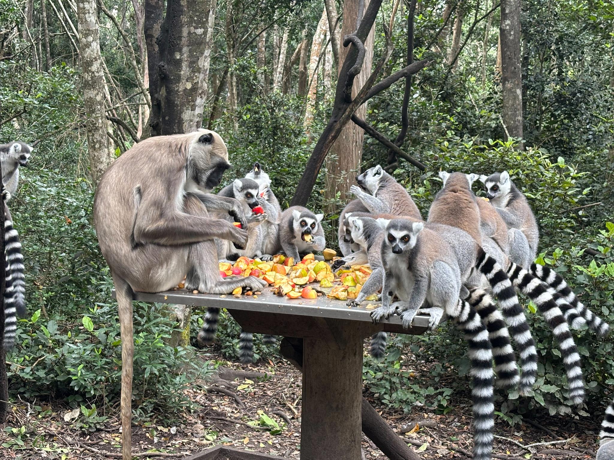 20250306-Lunchtime